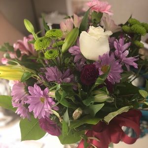 Meet your Posher, Diana